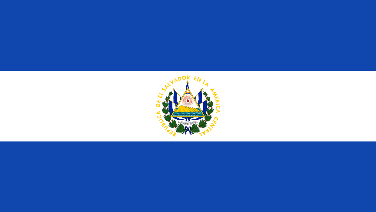 Flag of venezuela